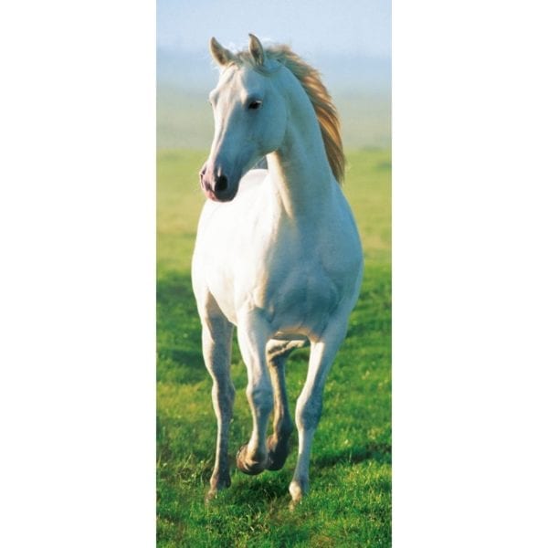 FOTOMURAL WHITE HORSE 514
